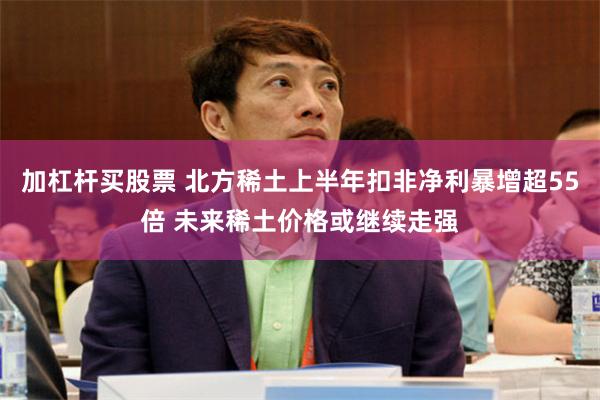 加杠杆买股票 北方稀土上半年扣非净利暴增超55倍 未来稀土价格或继续走强