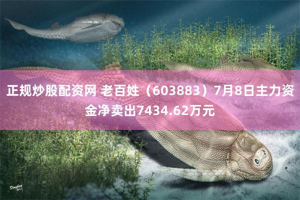 正规炒股配资网 老百姓（603883）7月8日主力资金净卖出7434.62万元
