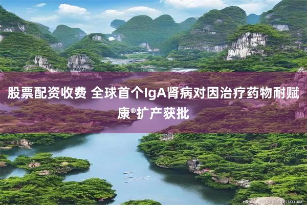 股票配资收费 全球首个IgA肾病对因治疗药物耐赋康®扩产获批