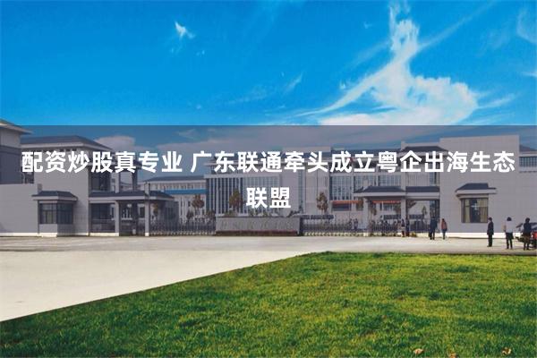配资炒股真专业 广东联通牵头成立粤企出海生态联盟