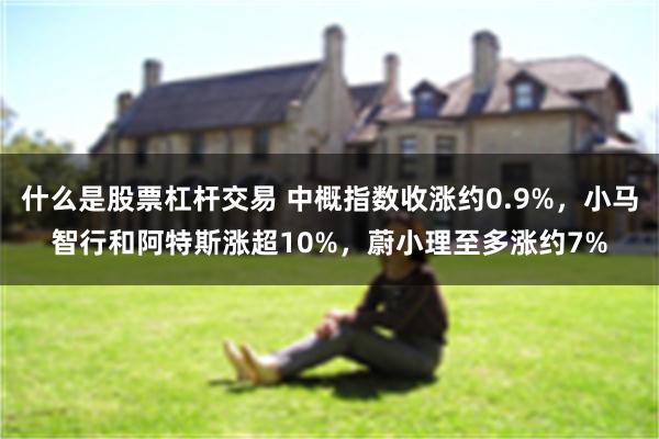 什么是股票杠杆交易 中概指数收涨约0.9%，小马智行和阿特斯涨超10%，蔚小理至多涨约7%