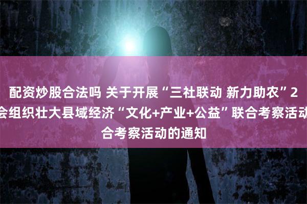 配资炒股合法吗 关于开展“三社联动 新力助农”2025社会组织壮大县域经济“文化+产业+公益”联合考察活动的通知