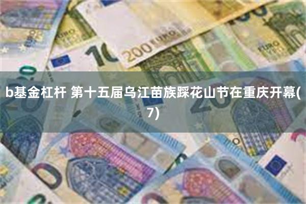 b基金杠杆 第十五届乌江苗族踩花山节在重庆开幕(7)