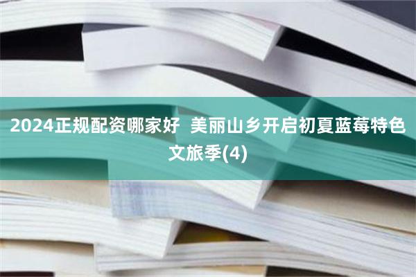 2024正规配资哪家好  美丽山乡开启初夏蓝莓特色文旅季(4)