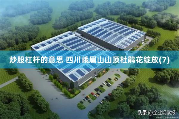 炒股杠杆的意思 四川峨眉山山顶杜鹃花绽放(7)