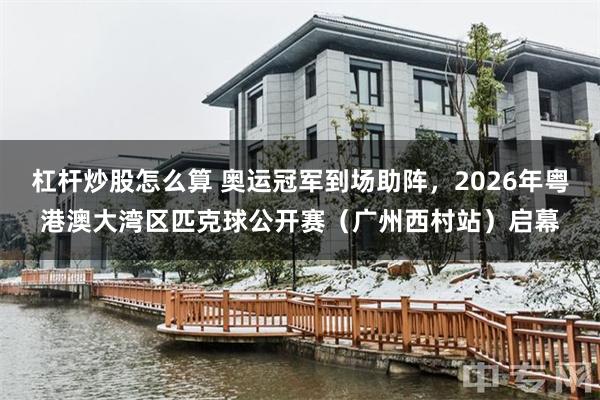 杠杆炒股怎么算 奥运冠军到场助阵,2026年粤港澳大湾区匹克球公开赛(广州西村站)启幕