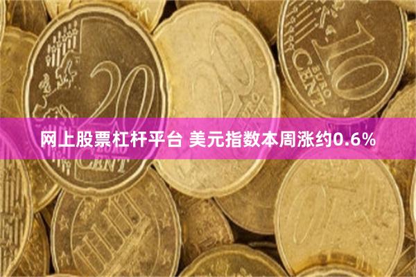 网上股票杠杆平台 美元指数本周涨约0.6%