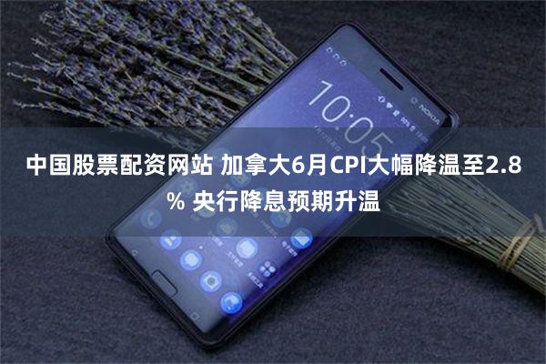 中国股票配资网站 加拿大6月CPI大幅降温至2.8% 央行降息预期升温