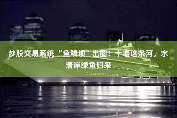 炒股交易系统 “鱼鳞坝”出圈！十堰这条河，水清岸绿鱼归来