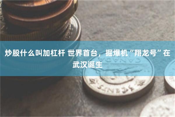 炒股什么叫加杠杆 世界首台，掘爆机“翔龙号”在武汉诞生