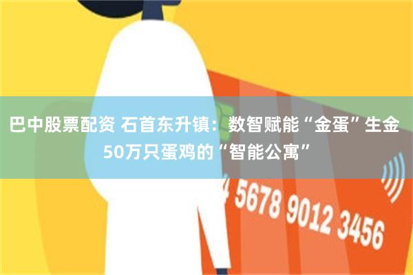 巴中股票配资 石首东升镇：数智赋能“金蛋”生金 50万只蛋鸡的“智能公寓”