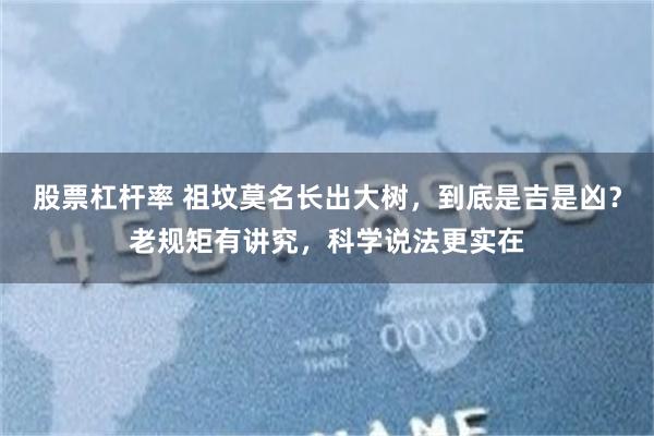 股票杠杆率 祖坟莫名长出大树，到底是吉是凶？老规矩有讲究，科学说法更实在