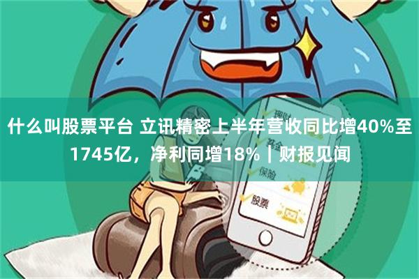 什么叫股票平台 立讯精密上半年营收同比增40%至1745亿，净利同增18%｜财报见闻