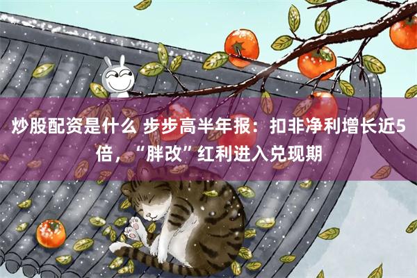 炒股配资是什么 步步高半年报:扣非净利增长近5倍,“胖改”红利进入兑现期