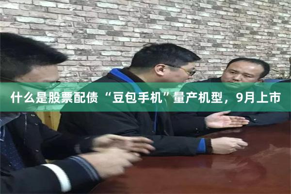 什么是股票配债 “豆包手机”量产机型，9月上市
