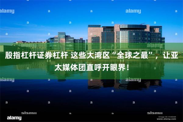 股指杠杆证券杠杆 这些大湾区“全球之最”，让亚太媒体团直呼开眼界！