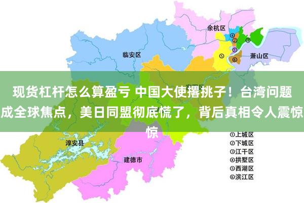 现货杠杆怎么算盈亏 中国大使撂挑子！台湾问题成全球焦点，美日同盟彻底慌了，背后真相令人震惊
