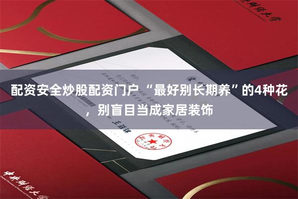 配资安全炒股配资门户 “最好别长期养”的4种花，别盲目当成家居装饰