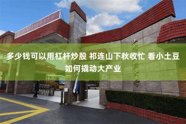 多少钱可以用杠杆炒股 祁连山下秋收忙 看小土豆如何撬动大产业