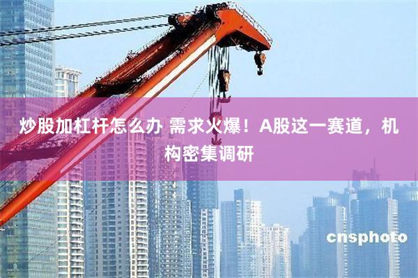 炒股加杠杆怎么办 需求火爆！A股这一赛道，机构密集调研