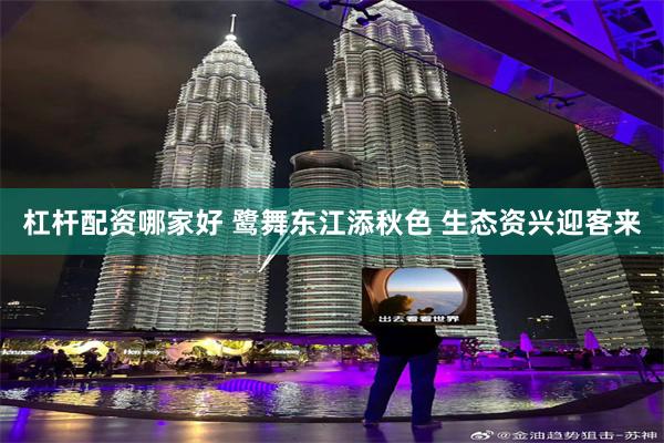 杠杆配资哪家好 鹭舞东江添秋色 生态资兴迎客来
