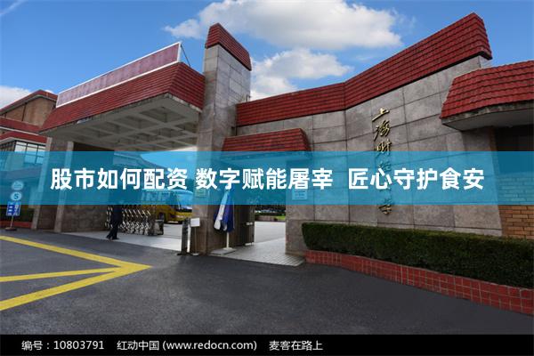 股市如何配资 数字赋能屠宰  匠心守护食安