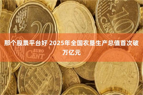 那个股票平台好 2025年全国农垦生产总值首次破万亿元