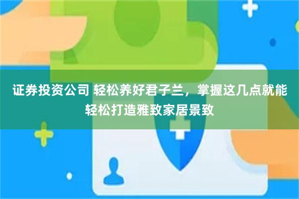 证券投资公司 轻松养好君子兰,掌握这几点就能轻松打造雅致家居景致